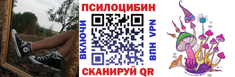 Псилоцибиновые грибы Psilocybe  купить  цена  Дмитриев 