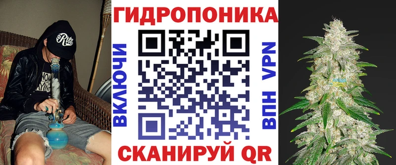 ОМГ ОМГ зеркало  darknet формула  Бошки Шишки семена  Дмитриев 